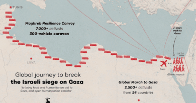 Espulsioni in Egitto: la Marcia Globale verso Gaza