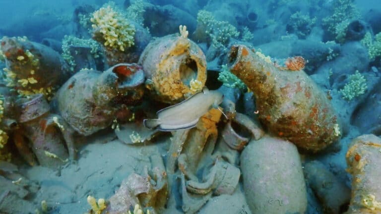 L'Abisso Nascosto: Tesori Sommersi dell'Archeologia Ligure