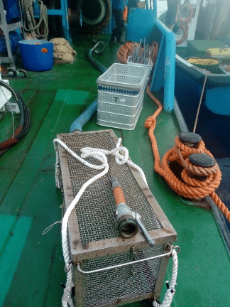 Testa della sorbona