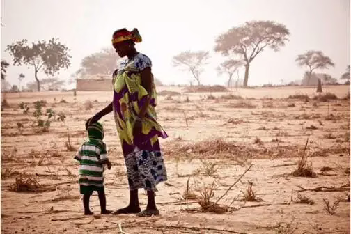 Nigeria: aumenta insicurezza alimentare nel nord-est.