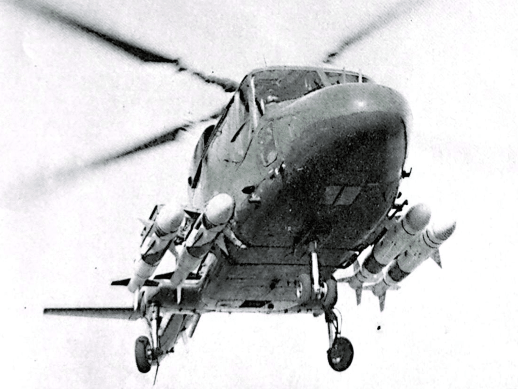 Uno dei primi LINX armati con il SEA SKUA: il missile, quando è lanciato, vola in una rotta navigazionale proporzionata per colpire il bersaglio. La testata bellica è progettata per esplodere dentro il bersaglio stesso per ottenere il massimo effetto. Se necessario, i missili possono essere lanciati in rapida successione.