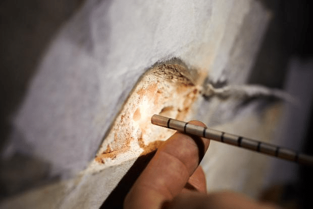 Sonda endoscopica inserita nella parete del Salone dei Cinquecento