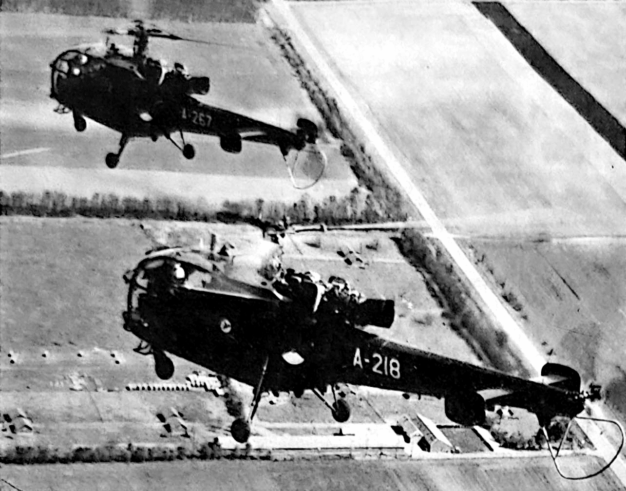 Due elicotteri Alouette III dell'Esercito olandese in formazione.